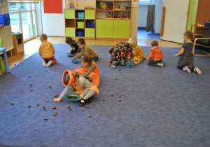 Dzieci zbierają do koszyczków kasztany rozrzucone po dywanie w sali. Ujęcie 2